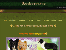 Tablet Screenshot of bordertreowe.com